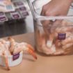 Picture of 25mm (1") English Removable Individual Allergen Series Labels - Crustaceans