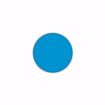 Picture of 19mm (.75") Circle Blue Permanent Blank Dot