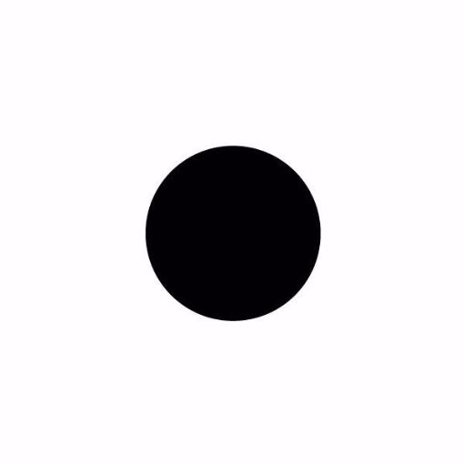 Picture of 19mm (.75") Circle Black Permanent Blank Dot