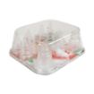 Picture of Clear Plain Hole Style Piping Tips